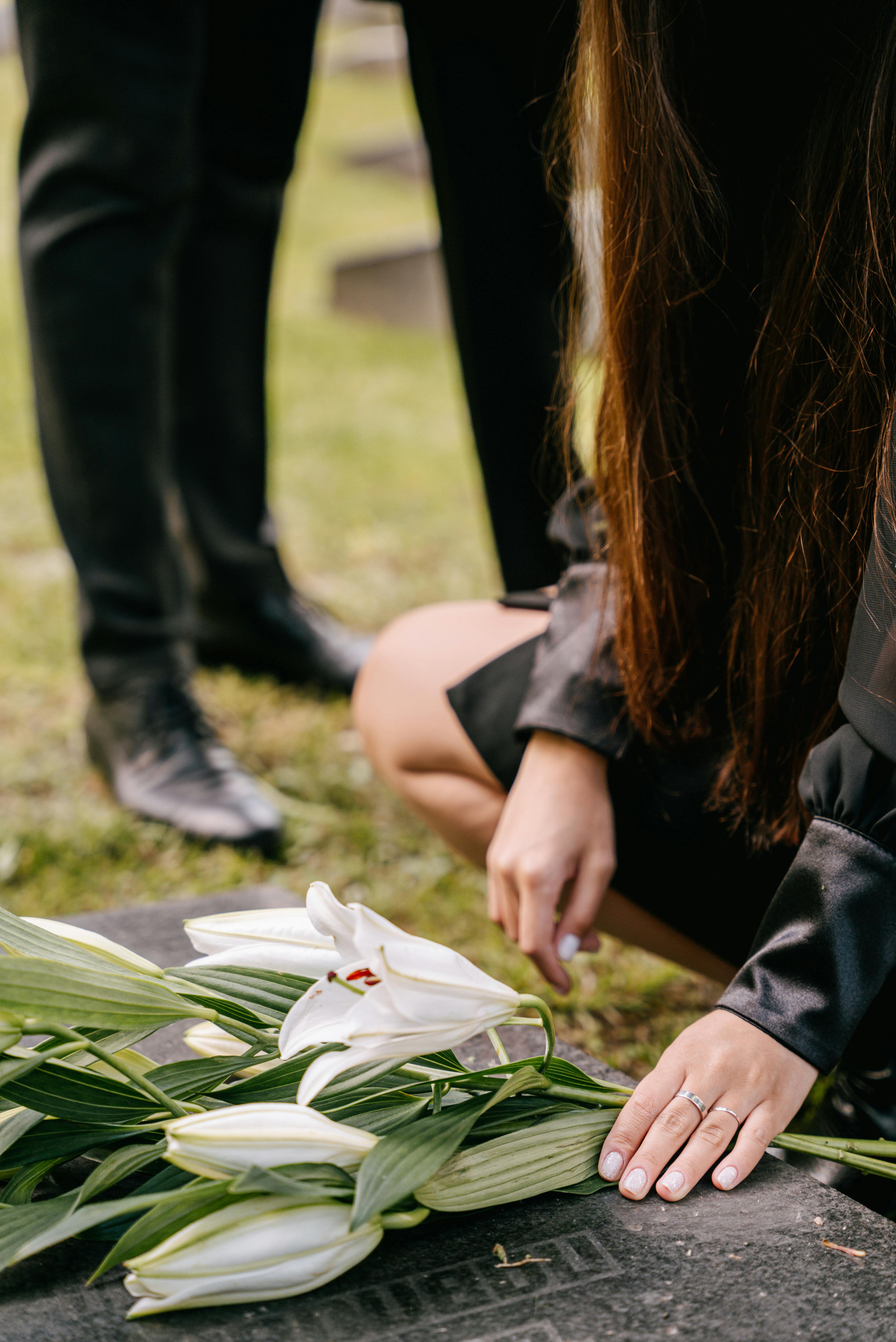 Practical Solutions for Exploring Florida's White Rabbit: Top 5 Experiences in 2025
