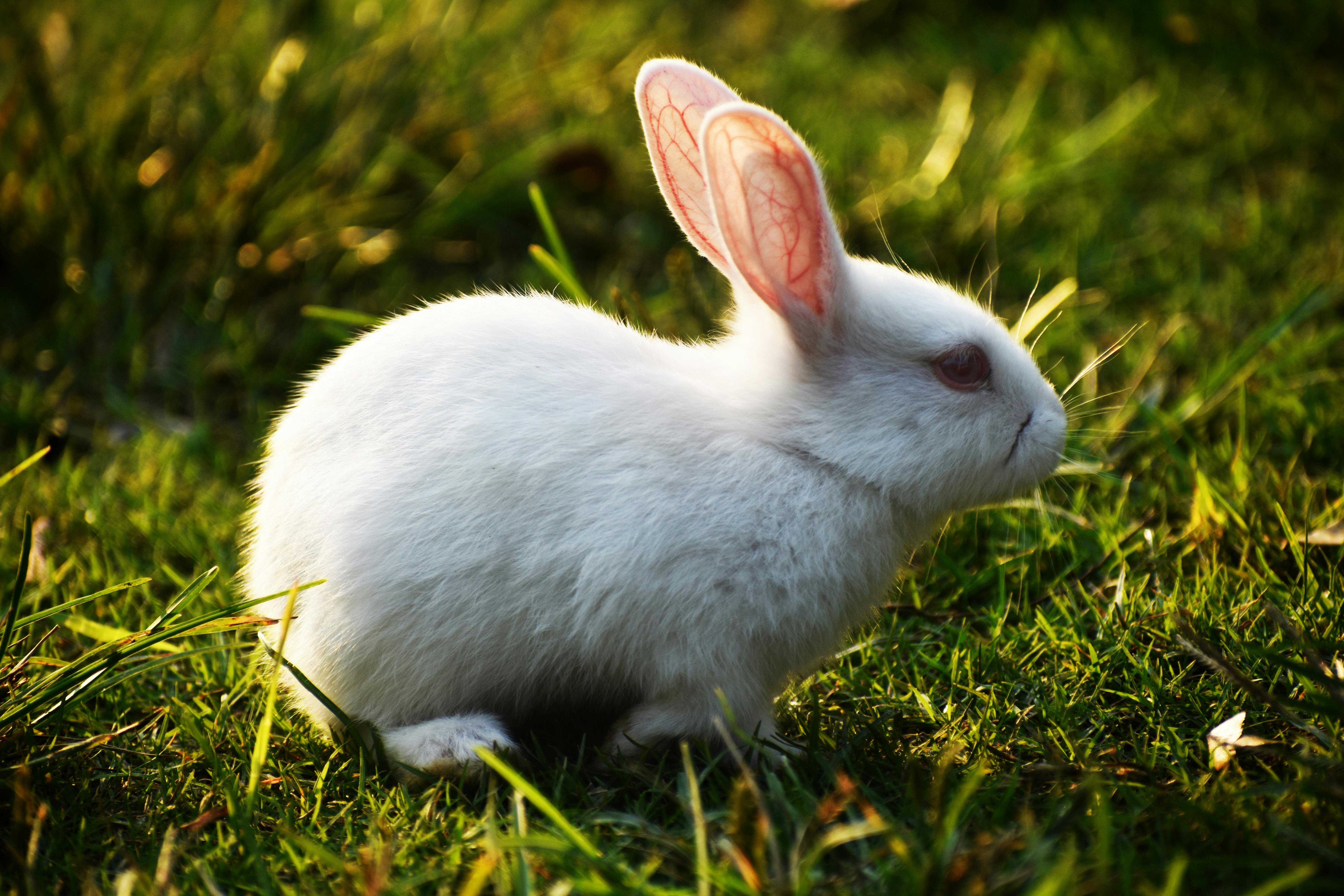 Effective Ways to Enhance Your Visit to The Dead Rabbit NYC in 2025