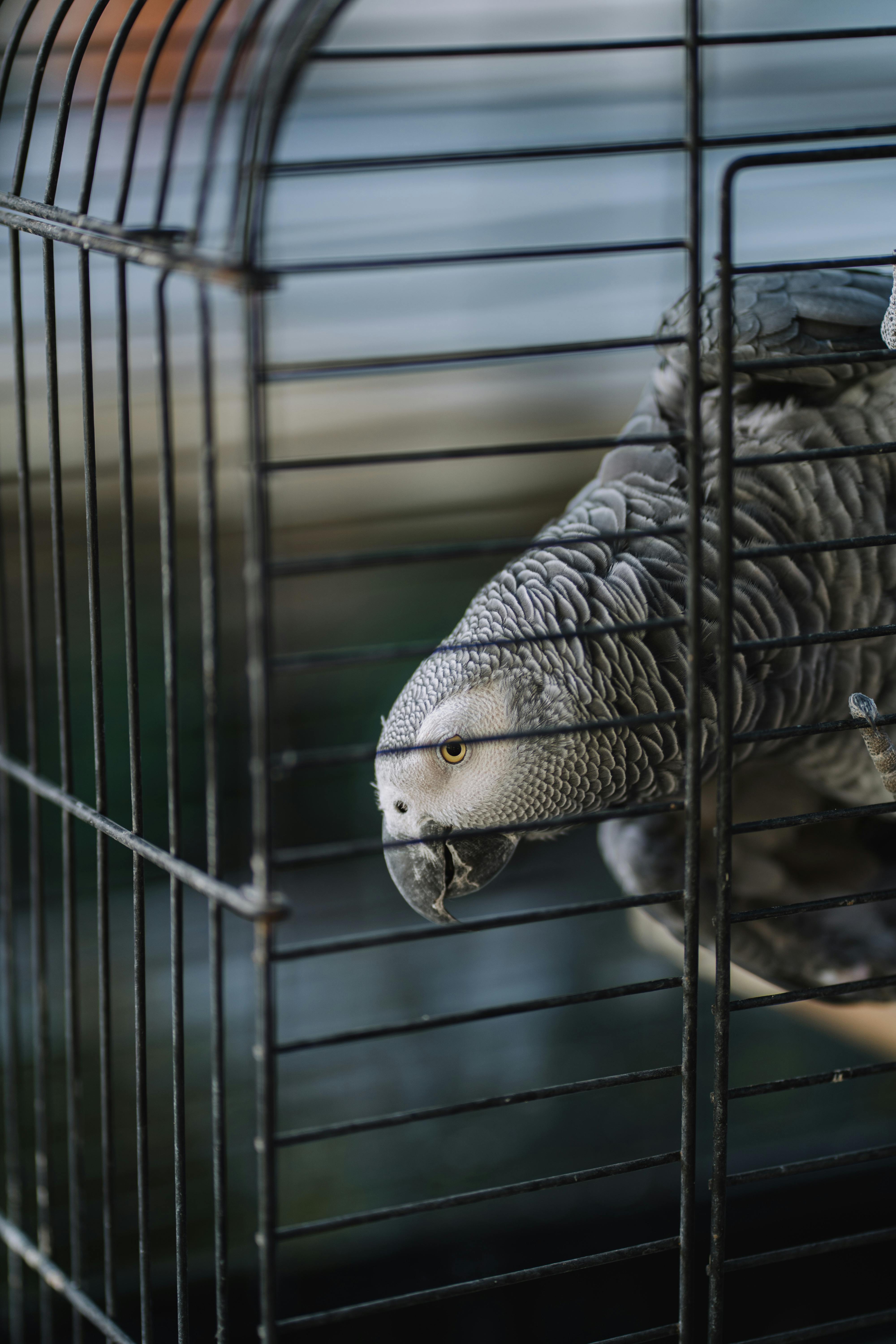 Smart Ways to Experience Blind Rabbit in Anaheim 2025