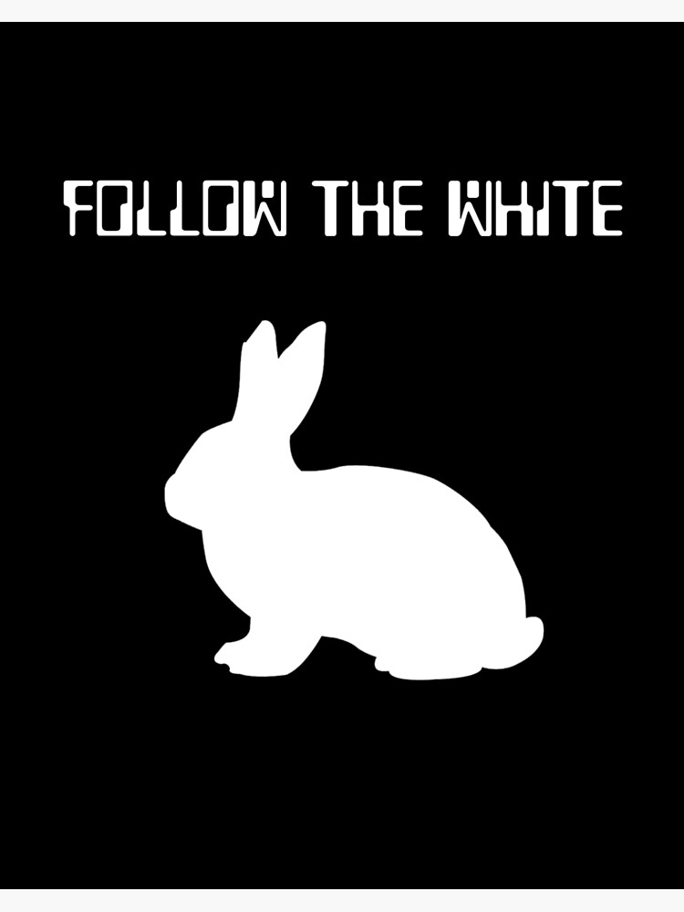 Follow the White Rabbit - A journey into the unknown.