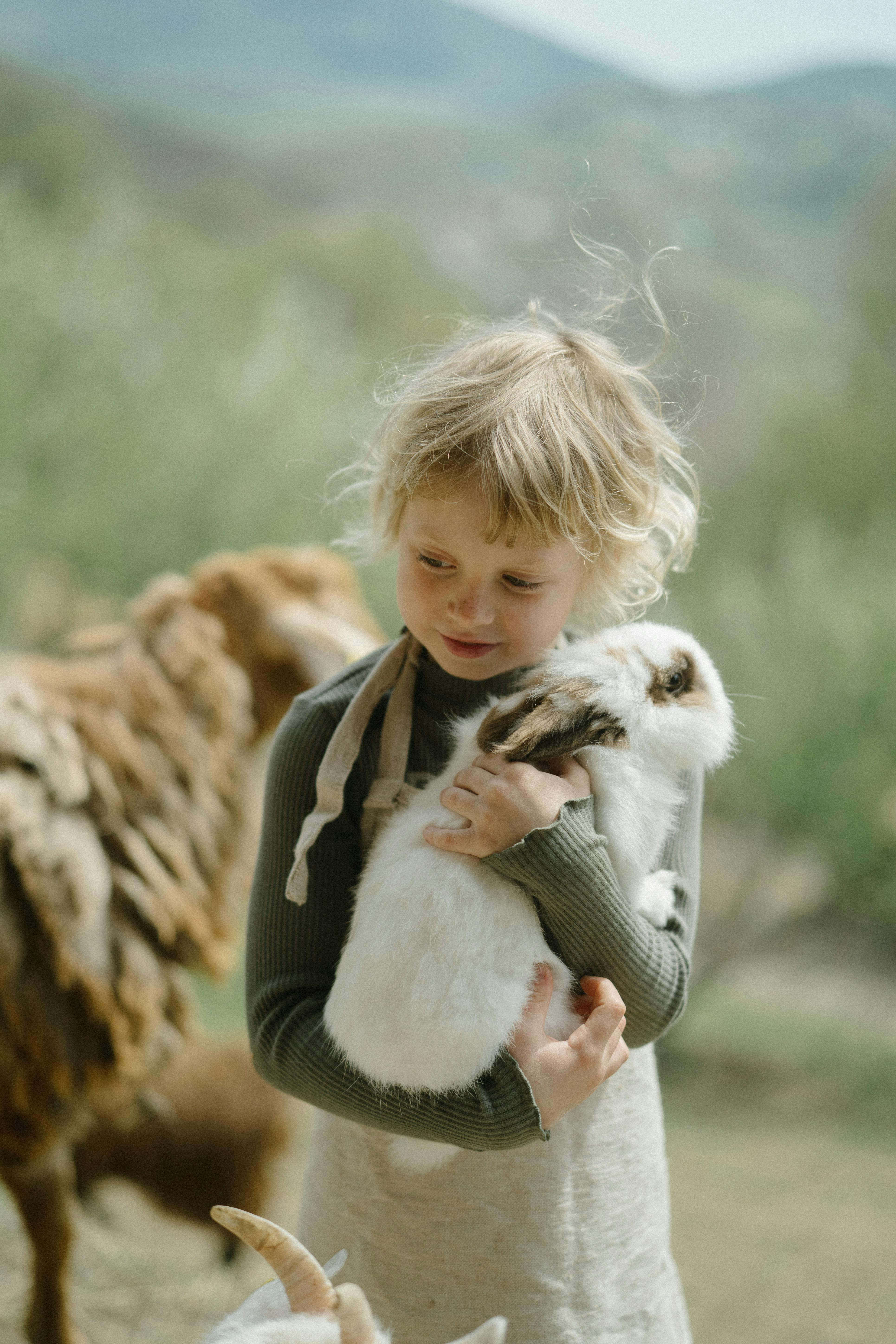 Flemish Giant Rabbit Characteristics